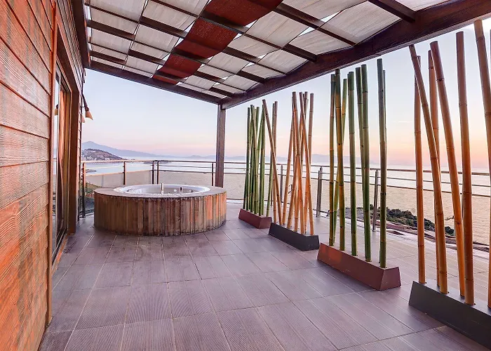 Suhan360 & (adults Only) 5*